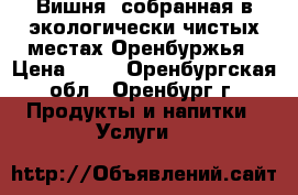 Вишня, собранная в экологически чистых местах Оренбуржья › Цена ­ 40 - Оренбургская обл., Оренбург г. Продукты и напитки » Услуги   